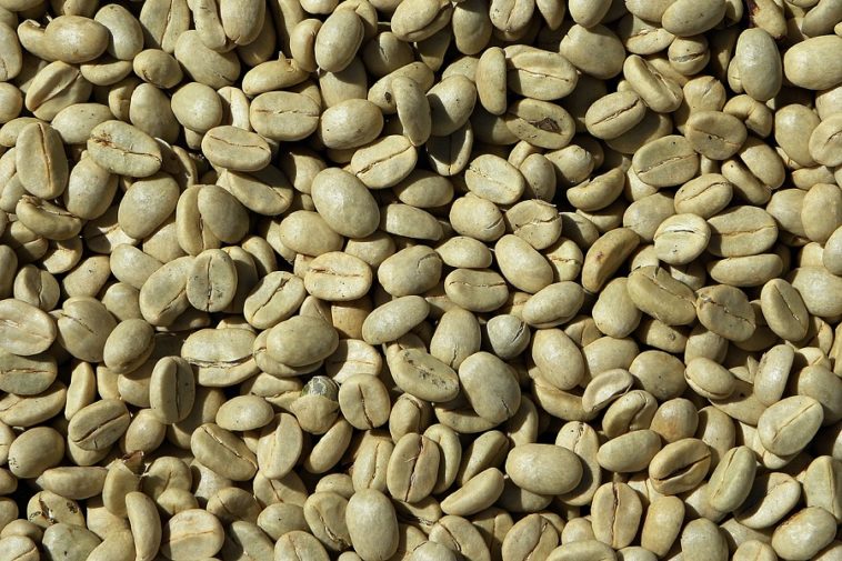 caffè verde