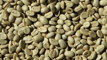 caffè verde