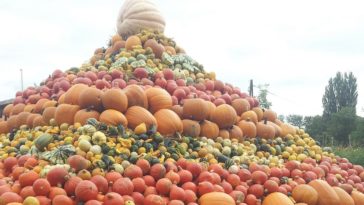 Piramide alimentare