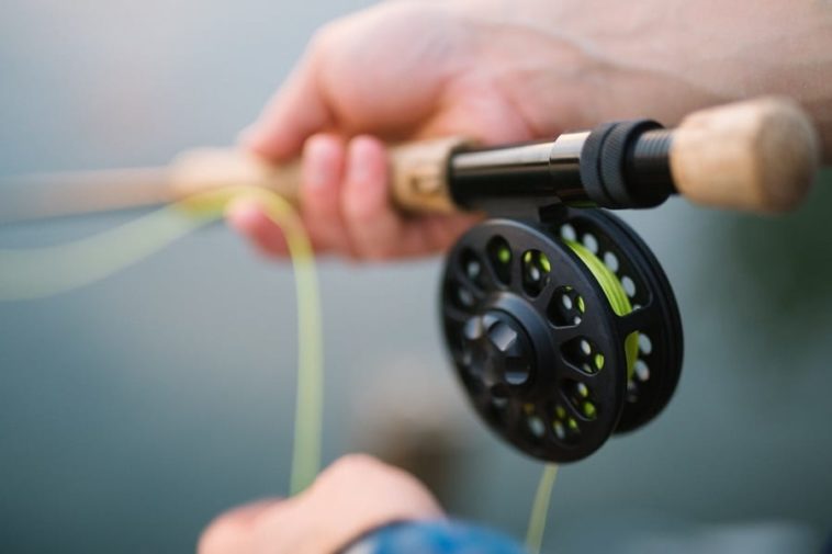 Accessori canne da pesca