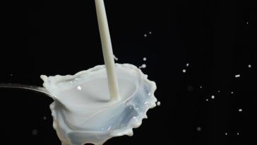 Alimentzione senza lattosio
