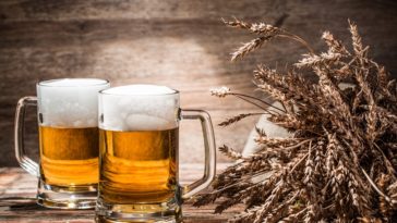 Guida alle birre