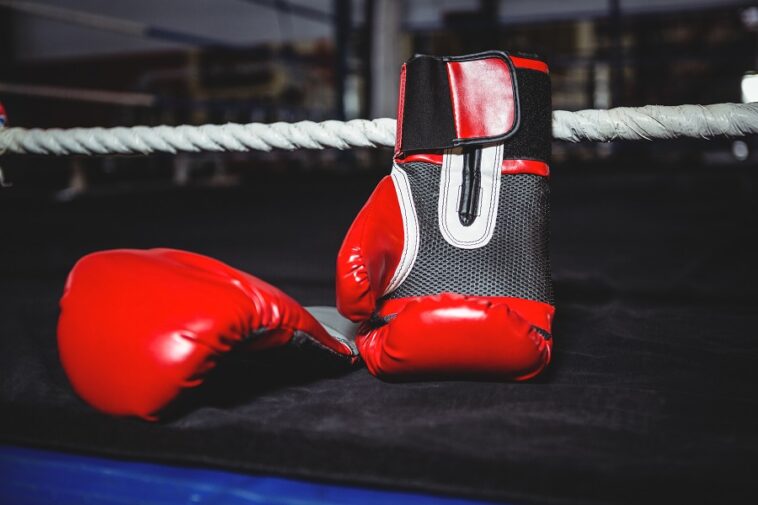 Guantoni da boxe