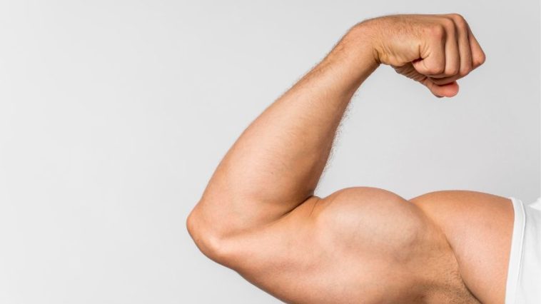 aumentare massa muscolare velocemente